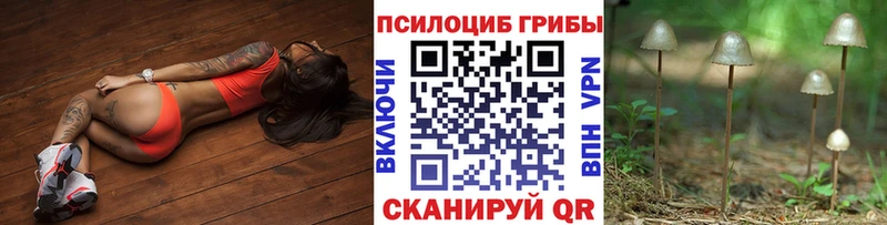 Псилоцибиновые грибы мицелий  как найти   Еманжелинск 